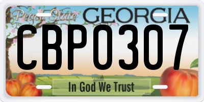 GA license plate CBP0307