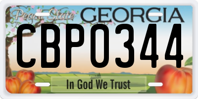 GA license plate CBP0344