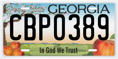 GA license plate CBP0389