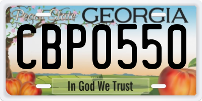 GA license plate CBP0550