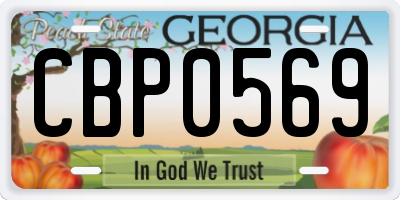 GA license plate CBP0569