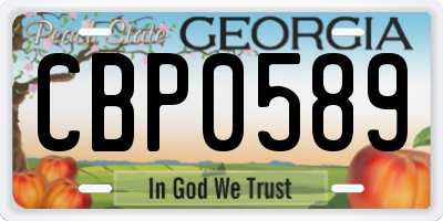 GA license plate CBP0589