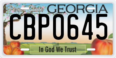 GA license plate CBP0645