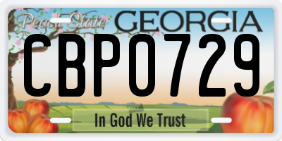 GA license plate CBP0729