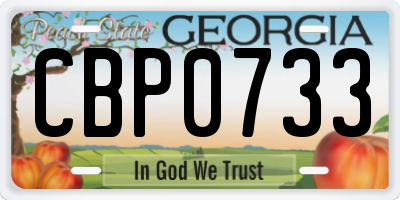 GA license plate CBP0733