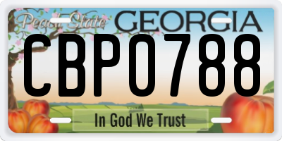 GA license plate CBP0788
