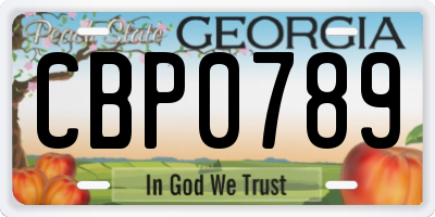 GA license plate CBP0789