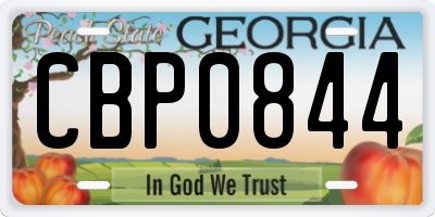 GA license plate CBP0844
