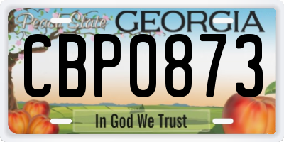 GA license plate CBP0873