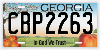 GA license plate CBP2263