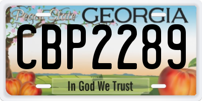 GA license plate CBP2289