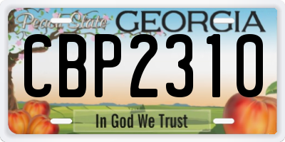 GA license plate CBP2310