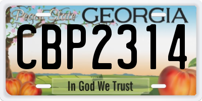 GA license plate CBP2314