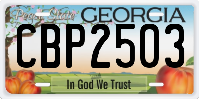 GA license plate CBP2503