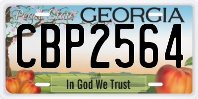 GA license plate CBP2564