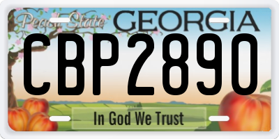 GA license plate CBP2890