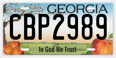 GA license plate CBP2989