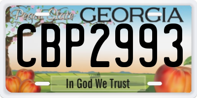 GA license plate CBP2993