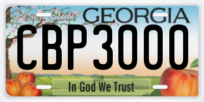 GA license plate CBP3000