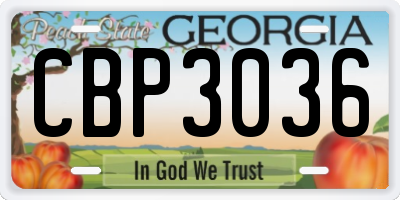 GA license plate CBP3036