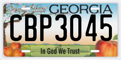 GA license plate CBP3045