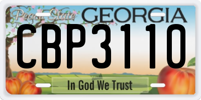 GA license plate CBP3110
