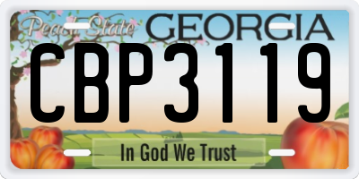 GA license plate CBP3119