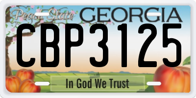 GA license plate CBP3125