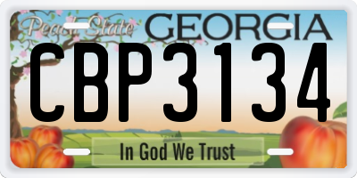 GA license plate CBP3134