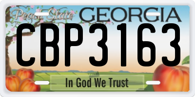 GA license plate CBP3163