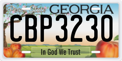 GA license plate CBP3230