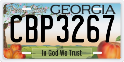 GA license plate CBP3267