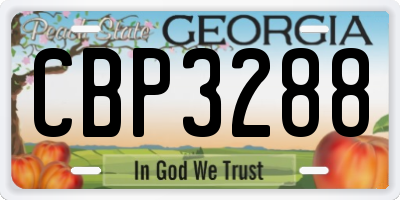 GA license plate CBP3288