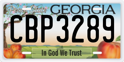 GA license plate CBP3289
