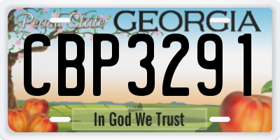 GA license plate CBP3291