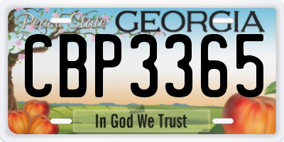GA license plate CBP3365