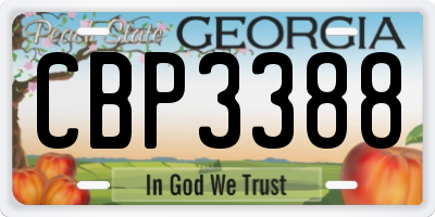 GA license plate CBP3388