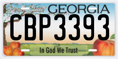 GA license plate CBP3393