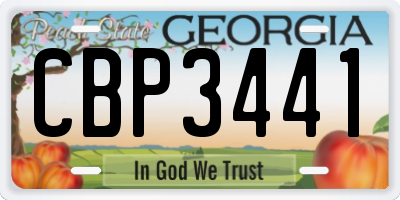 GA license plate CBP3441