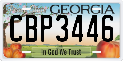 GA license plate CBP3446