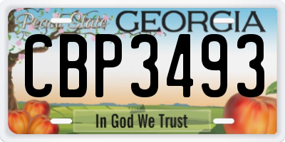 GA license plate CBP3493