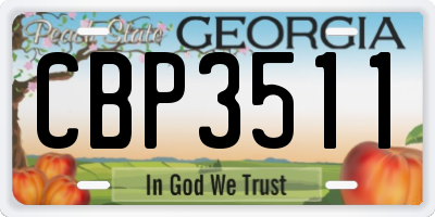 GA license plate CBP3511
