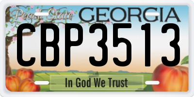 GA license plate CBP3513