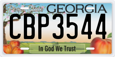 GA license plate CBP3544