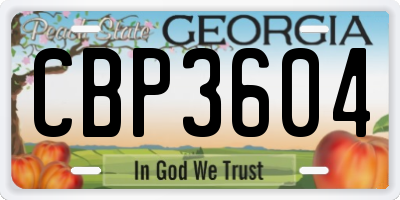GA license plate CBP3604