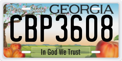 GA license plate CBP3608