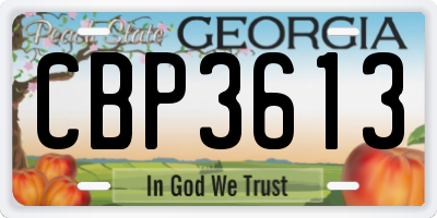 GA license plate CBP3613