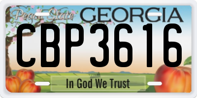 GA license plate CBP3616