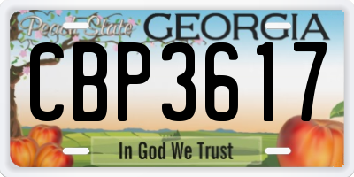 GA license plate CBP3617