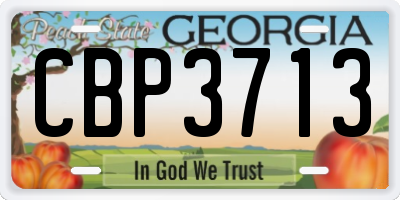 GA license plate CBP3713